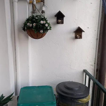 Apartment - Tradate